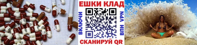 Ecstasy Punisher  кракен ССЫЛКА  Новая Ладога 