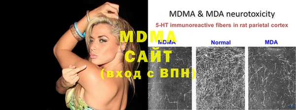 хмурый Алексин
