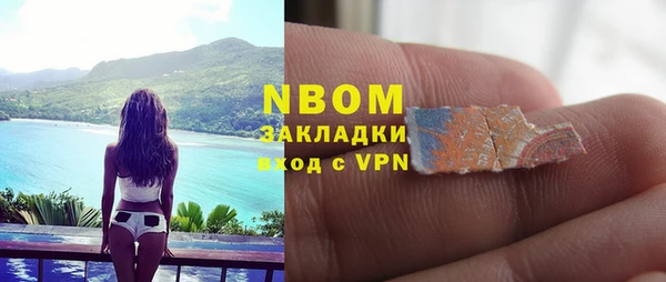 хмурый Алексин