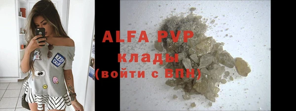 хмурый Алексин