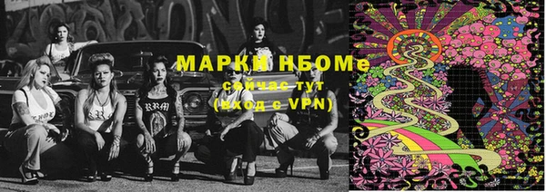 хмурый Алексин
