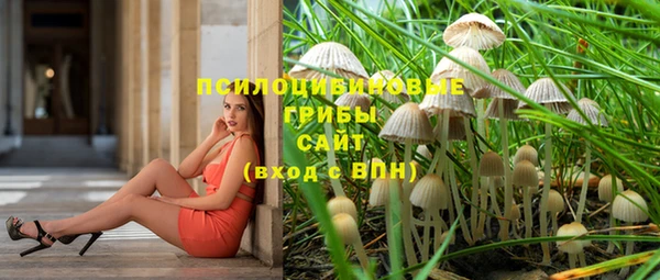 хмурый Алексин
