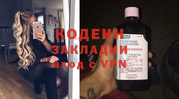 хмурый Алексин